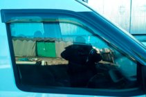 Fiat Doblo II 2010–2022 Vindafvisere til sideruder (2 stk., HIC) foto 9