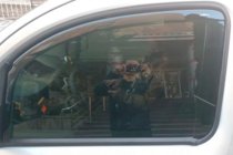 Renault Kangoo 2008–2020 Vindafvisere, indstik (2 stk., HIC) foto 8