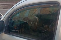 Renault Kangoo 2008–2020 Vindafvisere, indstik (2 stk., HIC) foto 9