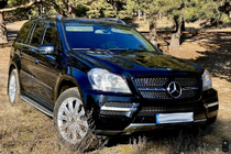 Mercedes GL-klasse X164 2006–2012 Frontgrill Diamond (2006-2009) foto 4