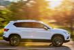 Test af crossoveren Seat Ateca (anden) foto 13