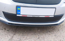 Skoda Fabia 2007–2014 Vinterafdækning til kølergrill (2011-2014, nederste) Blank foto 1