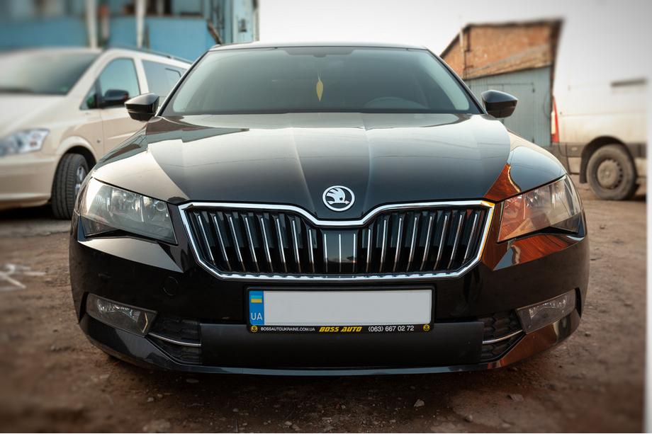 Skoda Superb 2015–2024 Vinterafdækning til kølergrill (2015-2019, nederste) Image