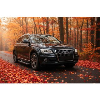 Sidetrin New Vision Black (2 stk., aluminium) foto 1