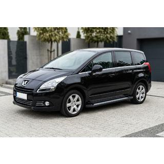 Sidetrin New Vision Black (2 stk., aluminium) foto 1