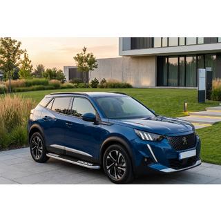 Sidetrin Tayga V2 (2 stk., aluminium) foto 1