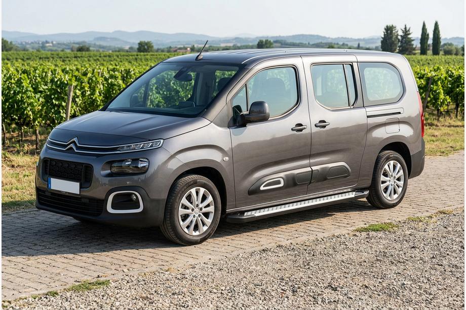 Citroen Berlingo/Multispace 2018– Sidetrin Allmond Grey (2 stk., aluminium) Kort akselafstand Image
