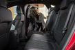 Ny generation af den kompakte crossover Ford Kuga foto 10