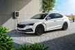 Test af Skoda Octavia årgang 2020 foto 4