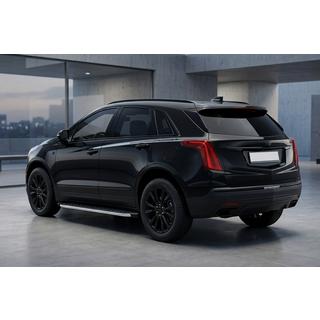 BlackLine sidetrin (2 stk., aluminium) foto 1