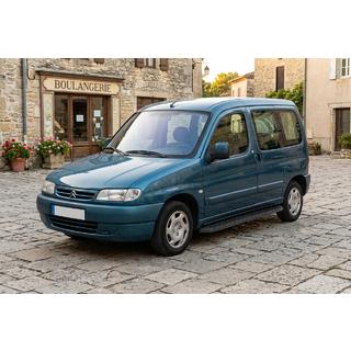 Sidetrin Tayga Black (2 stk., aluminium) Citroen Berlingo 1996–2008 foto 1