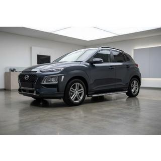 BlackLine sidetrin (2 stk., aluminium) foto 1