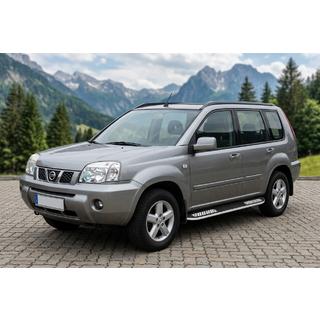 Sidetrin Tayga V2 (2 stk., aluminium) foto 1