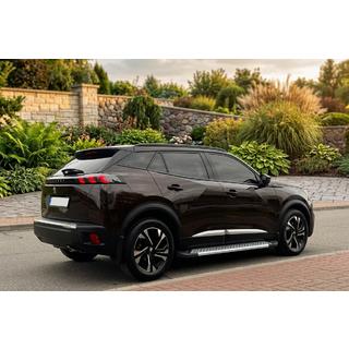 Sidetrin New Vision Grey (2 stk., aluminium) Peugeot 3008 2016–2023 foto 1