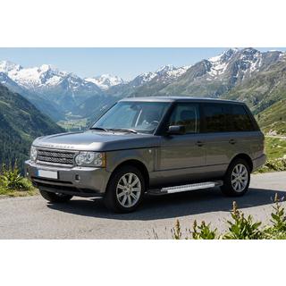 Sidetrin New Vision Grey (2 stk., aluminium) foto 1