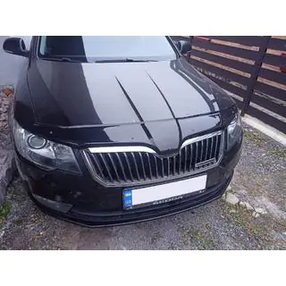 Insektskjold til motorhjelm 2013-2015 (EuroCap)