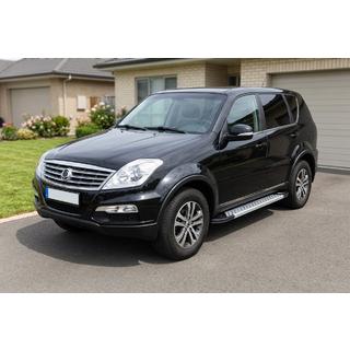 Sidetrin Vision New Grey (2 stk., aluminium) SsangYong Rexton I 2001–2017 foto 1