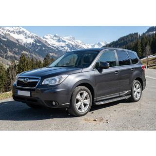 BlackLine sidetrin (2 stk., aluminium) foto 1