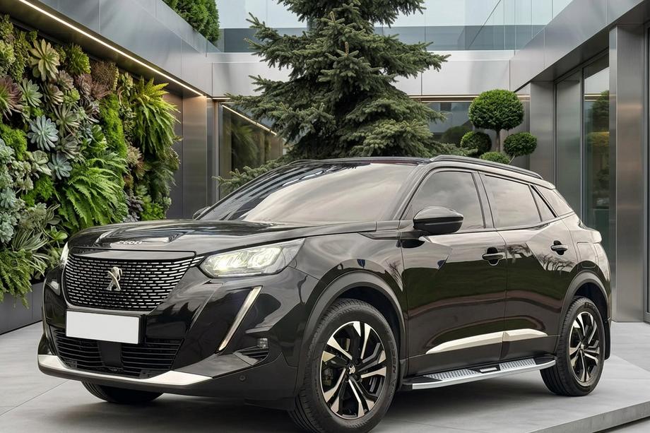 Peugeot 3008 2016–2023 Mevsim Grey sidetrin (2 stk., aluminium) Image