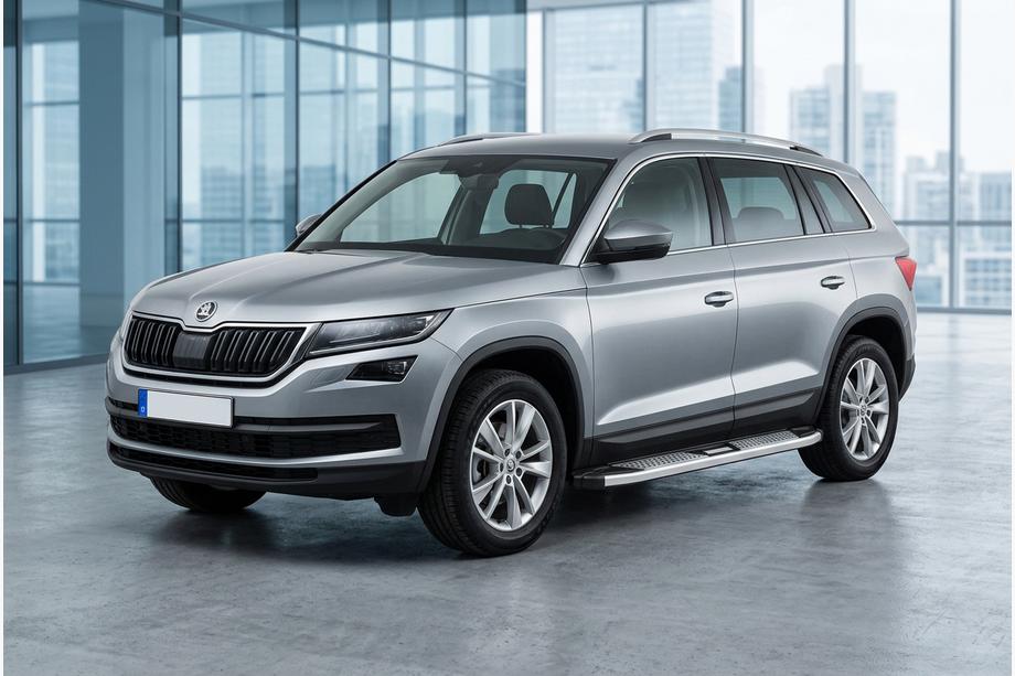 Skoda Kodiaq 2016–2023 Mevsim Grey sidetrin (2 stk., aluminium) Image
