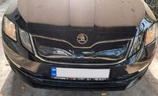 Skoda Octavia III A7 2013–2019 Vintergrill (2017-2020) foto 7