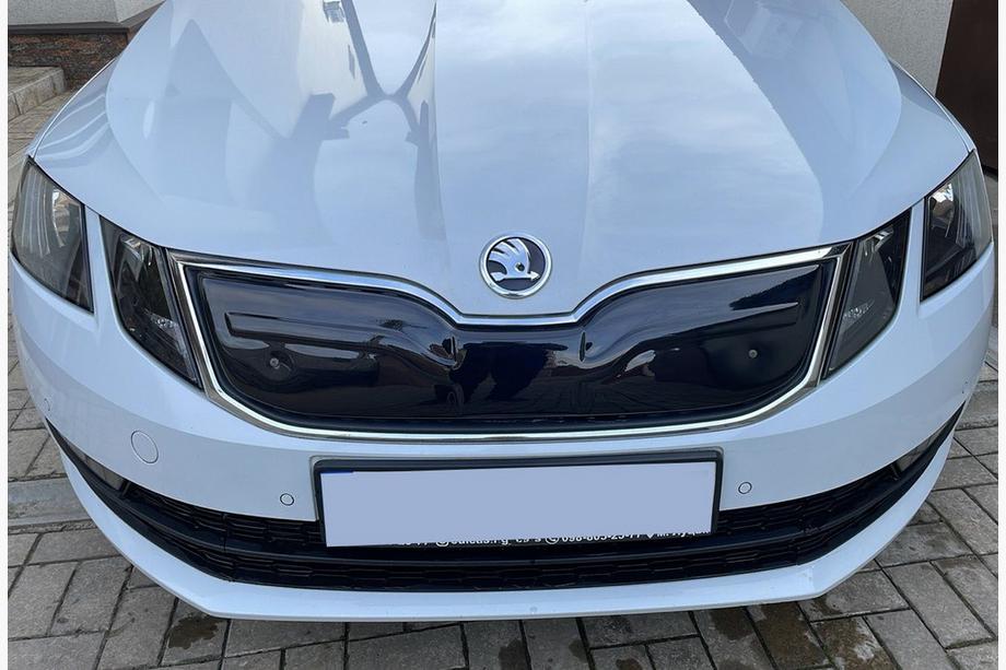 Skoda Octavia III A7 2013–2019 Vintergrill (2017-2020) Image