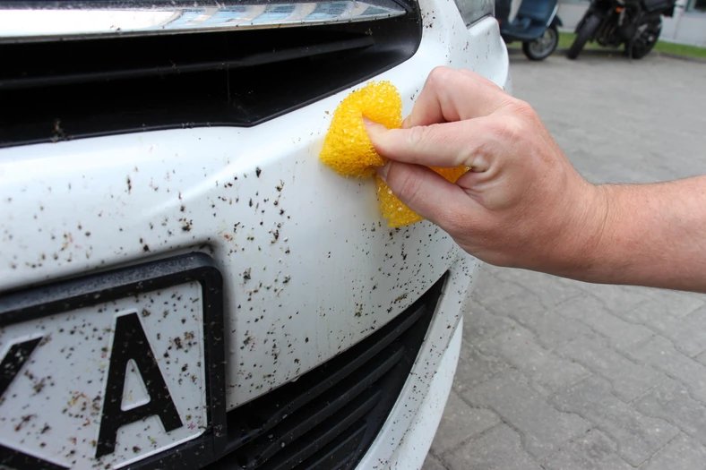 Sådan fjerner du fastklistrede insekter fra bilen