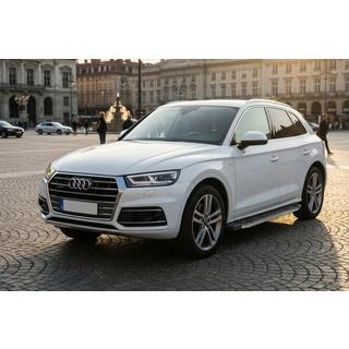 BlackLine sidetrin (2 stk., aluminium) foto 1