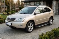 Lexus RX 2003–2009 Sidetrin Maya V1 (2 stk., aluminium) foto 1