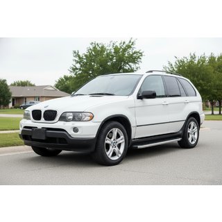 Fullmond sidetrin (2 stk., aluminium) BMW X5 E53 1999–2006 foto 1
