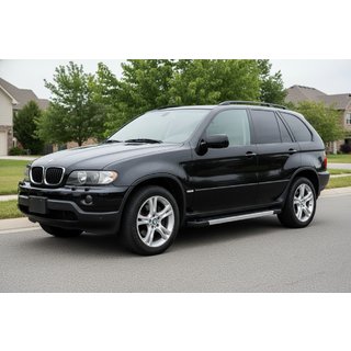 Sidetrin RedLine (2 stk., alu.) BMW X5 E53 1999–2006 foto 1