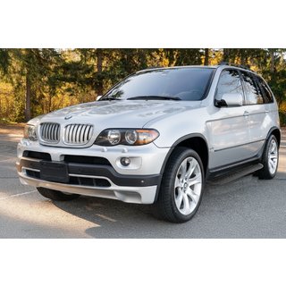 Sidetrin Tayga Black (2 stk., aluminium) BMW X5 E53 1999–2006 foto 1