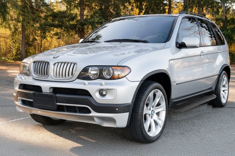 BMW X5 E53 1999–2006 Sidetrin Tayga Black (2 stk., aluminium) Image