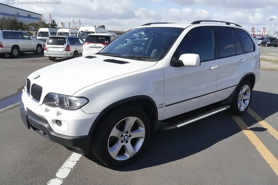 BMW X5 E53 1999–2006 Sidetrin Bosphorus Grey (2 stk., aluminium) Image