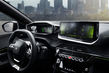 Anmeldelse af den subkompakte elektriske crossover Peugeot e-2008 foto 7