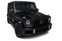 Mercedes G-Klasse W463 1990–2018 Frontgrill (GT Panamericana, uden krom) foto 4