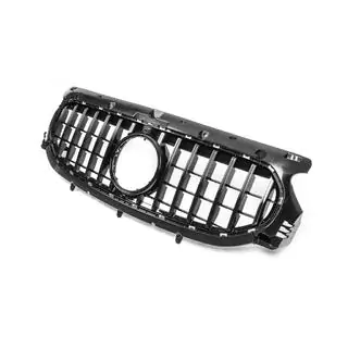 Frontgrill Panamericana GT foto 4