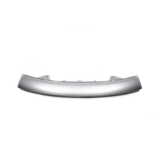 Front kofangerindsats (til Autobiography) Range Rover Sport 2005–2013 foto 2