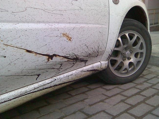 Sådan fjerner du tjære fra bilen