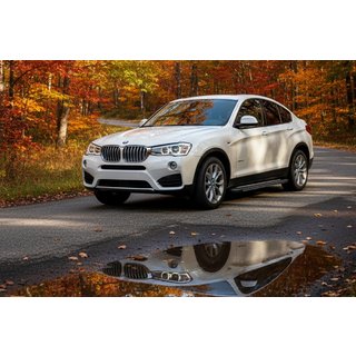 Sidetrin Bosphore Grey (2 stk., aluminium) BMW X4 F26 2014–2018 foto 1