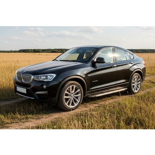 Duru sidetrin (2 stk., aluminium) BMW X4 F26 2014–2018 foto 1