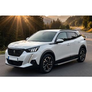 BlackLine sidetrin (2 stk., aluminium) Peugeot 2008 2019– foto 1