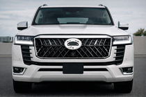 Toyota Land Cruiser 300 2021– Frontgrill Wald foto 1