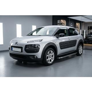 BlackLine sidetrin (2 stk., aluminium) foto 1