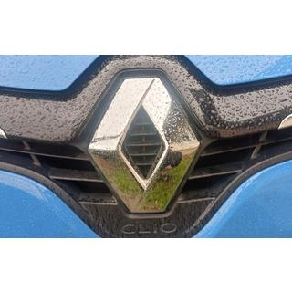 Emblem (Tyrkiet) foto 2