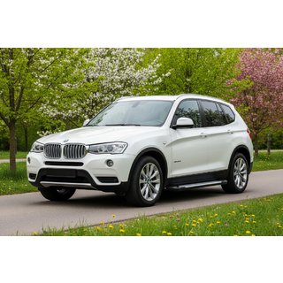 Sidetrin Allmond Grey (2 stk., aluminium) BMW X3 F25 2011–2018 foto 1