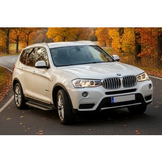 Sidetrin Bosphore Grey (2 stk., aluminium) BMW X3 F25 2011–2018 foto 1