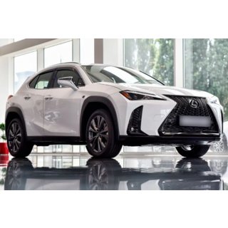 Vindafvisere med kromliste (4 stk., HIC) Lexus UX 2018– foto 1