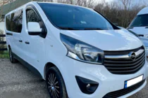 Fiat Talento 2016– Vindafvisere til sideruder (2 stk., HIC) foto 10