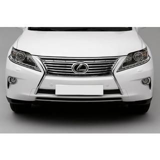Frontgrill (2012-2015) foto 1